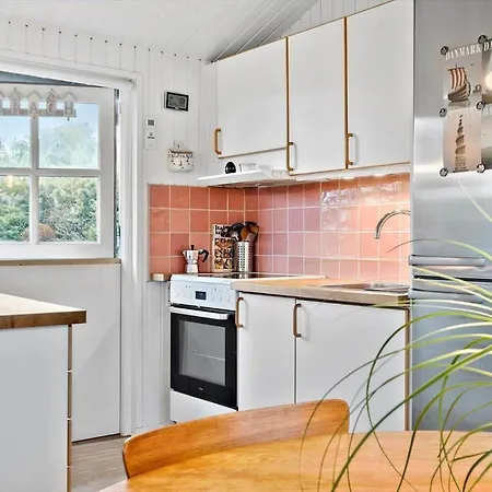 Sj204-borkop-pytvej-1 *